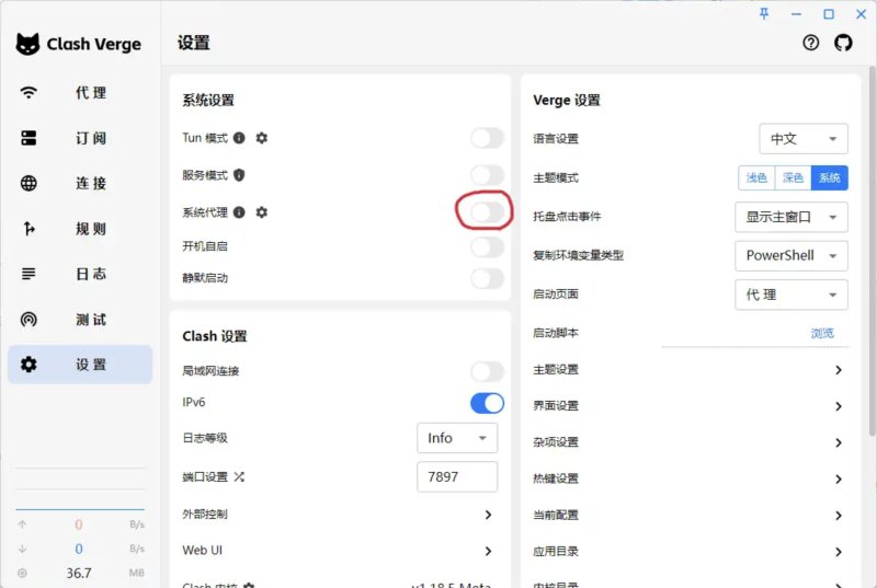 在Clash Verge的设置界面中打开图中红圈圈出的开关