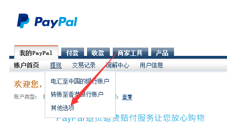 PAYPAL-TO-AYONEER-1