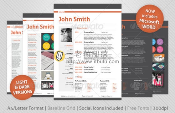 Professional Resume/CV