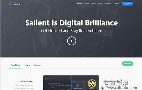 Salient响应式多用途主题