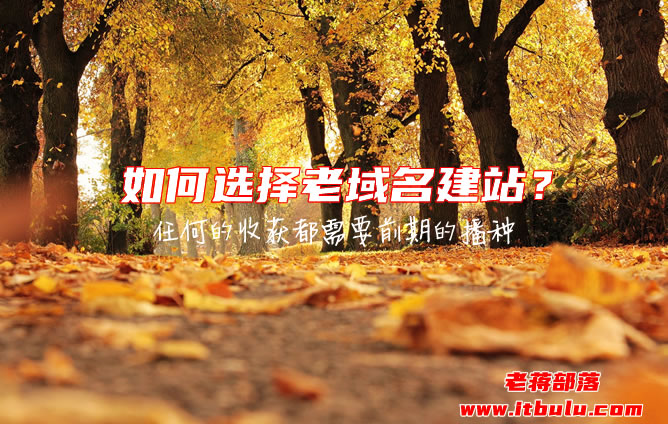 如何选择老域名建站?(老域名建站核心优势分析)