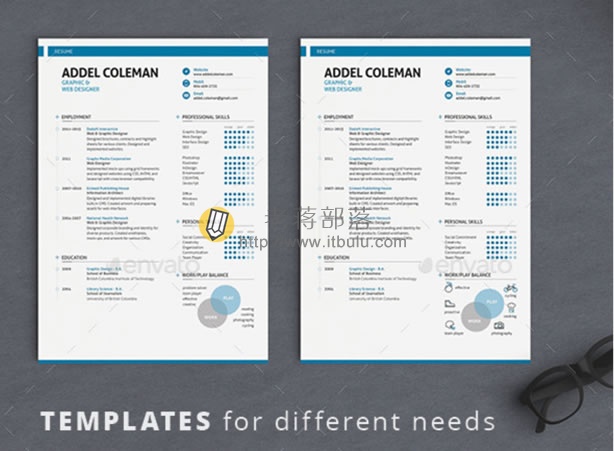 Resume/CV - Swiss