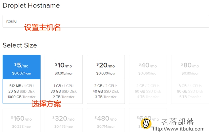 设置主机名、选择VPS配置方案