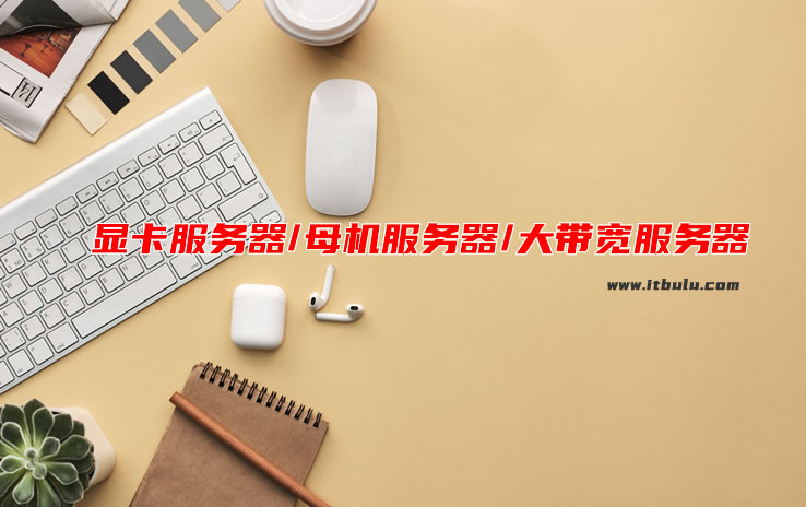 Megalayer香港机房大带宽服务器/母机服务器/显卡服务器套餐清单及特点