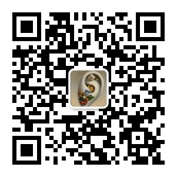 Jane-xiaoer/xiaoer-videolab 预览截图